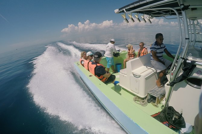 Whale Shark Tour from Cancun, Playa del Carmen, Tulum and Riviera Maya - What to pack for a low-shade, high-sun day