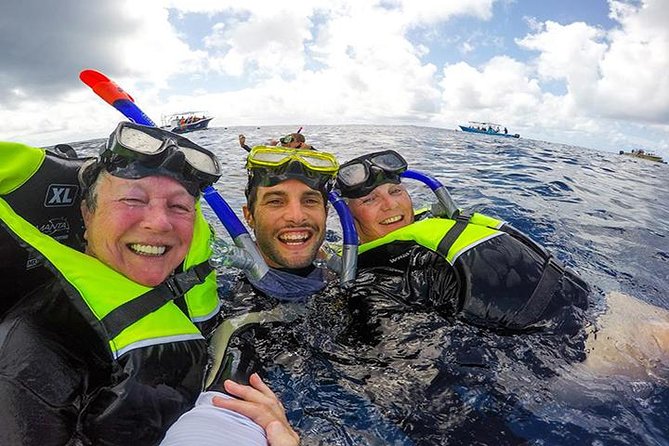 Whale Shark Tour from Cancun, Playa del Carmen, Tulum and Riviera Maya - Isla Contoy National Park and the whale shark swim routine