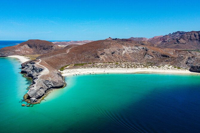 Whale sharks and sea lions snorkeling plus Balandra beach lunch - Key highlights you should know before you go