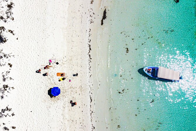 Whale sharks and sea lions snorkeling plus Balandra beach lunch - Where you meet and what to bring (so the day stays smooth)