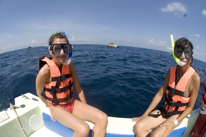 Whale Sharks Small-Group Tour in Cancun and Riviera Maya - Lunch Near Isla Mujeres: More Than a Break, It’s Part of the Whole Day