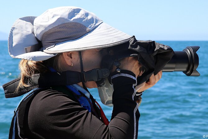Whale Watching Adventure – Led by a Marine Biologist - How the Morning Feels: Snacks, Water, and Motion-Smart Tips
