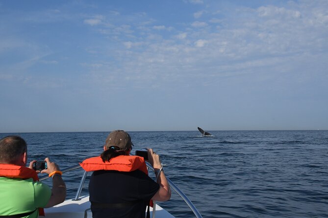 Whale Watching Adventure – Led by a Marine Biologist - Weather, Sea State, and How to Think About Your Chances