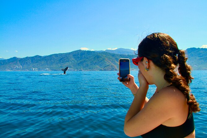 Whale Watching and Los Arcos 5 Islands Adventure - Key Highlights You Should Actually Care About