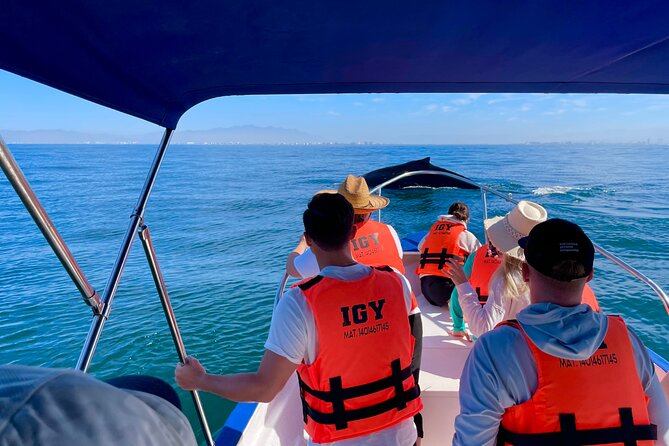 Whale Watching and Los Arcos 5 Islands Adventure - Cruising the Bay of Banderas for Whales, Dolphins, and the Best Odds