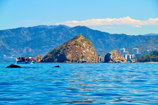 Whale Watching and Los Arcos 5 Islands Adventure - Los Arcos Marine Sanctuary: Snorkel Caves and Rock Arches