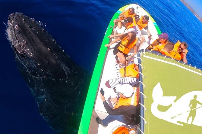 Whale Watching Cabo-Women crew-Sightings Guaranteed & Free Photos - Boat vibe, water, and comfort tips that actually matter