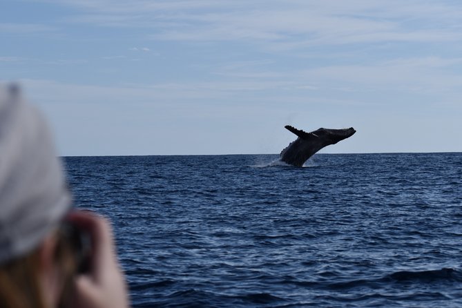 Whale Watching Cabo-Women crew-Sightings Guaranteed & Free Photos - Who should book this Cabo whale watch, and who might skip it