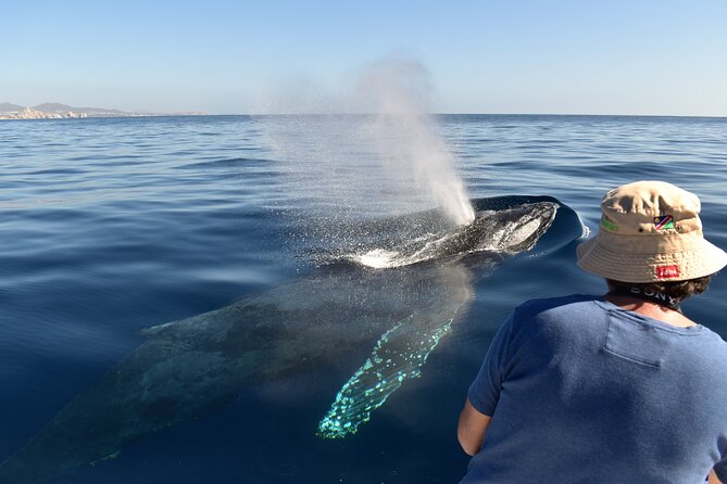 Whale Watching Cabo-Women crew-Sightings Guaranteed & Free Photos - El Arco de Cabo San Lucas: the quick photo moment that frames the trip