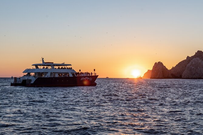 Whale Watching Dinner Cruise in Cabo San Lucas - Whale watching time: humpbacks and gray whales, and how you spot them