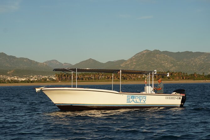 Whale Watching Group Tour in San Jose del Cabo - Why San Jose del Cabo Is Prime Whale Country