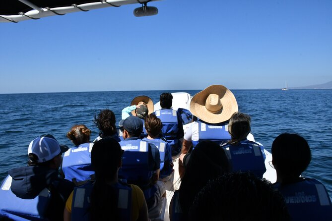 Whale Watching Guaranteed Experience in Puerto Vallarta - Who should book this whale watching tour, and who should think twice