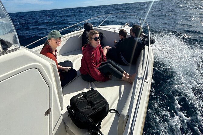 Whale Watching in San Jose del Cabo - Price and Value: Is $120 for 2.5 Hours a Smart Spend?