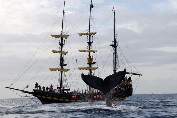 Whale-Watching Pirate Ship Cruise in Los Cabos - Cabo’s Buccaneer Queen: Pirate Ship Meets Whale Watching