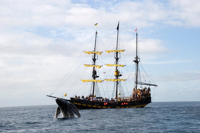 Whale-Watching Pirate Ship Cruise in Los Cabos - Price and Value: What $99 Buys, Plus the $5 Fee