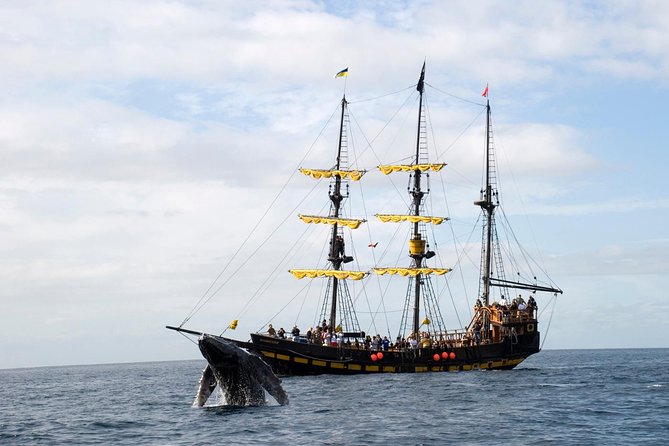 Whale-Watching Pirate Ship Cruise in Los Cabos - The Route Around Lover’s Beach, the Arch, and Sea Lions
