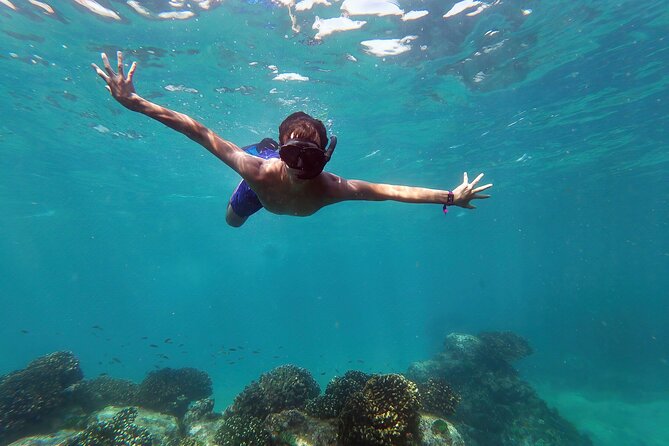 Whale Watching & Snorkeling Combo in Los Cabos with Photos Included - Key Highlights You Should Know