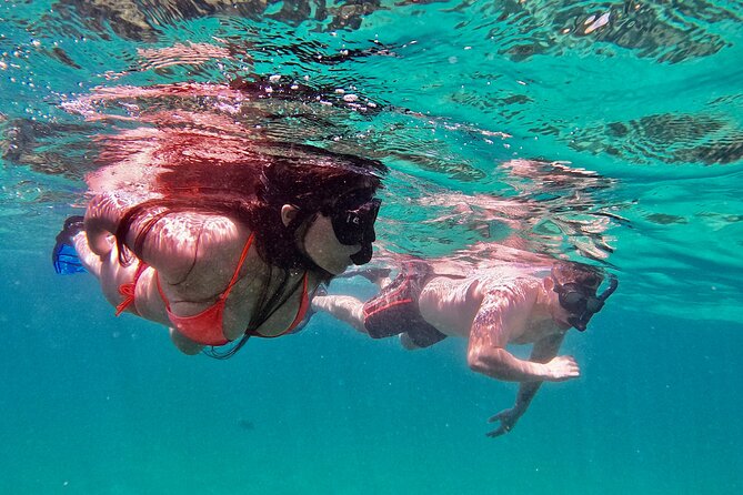 Whale Watching & Snorkeling Combo in Los Cabos with Photos Included - Meeting at Baja Vikings Ecoventures and Starting on Time