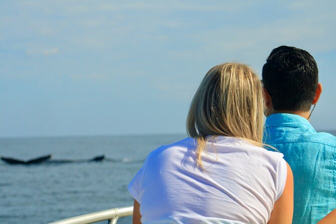 Whale Watching Warranty in San José del Cabo Snacks and drinks - Why the Small Boat Size Matters More Than You Think