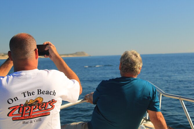 Whale Watching Warranty in San José del Cabo Snacks and drinks - Snacks, Drinks, and the Food Reality on a 2-Hour Cruise