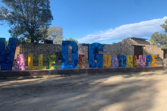 Wine tasting Valle de Guadalupe & Casa Frida - Key highlights you will actually care about