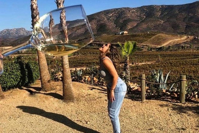 Wine tasting Valle de Guadalupe & Casa Frida - Decantos Vinícola and the bottle perk for your group