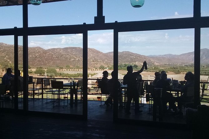 wine tours and driver service through valle de guadalupe, Ensenada B.C. Mexico - Valle de Guadalupe start: where the day actually begins