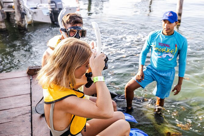 With Turtles, Shipwreck, Cenote, and Reef and Transport Included - A Small-Group Cancun Snorkel With Real Variety (Not One Long Trip)