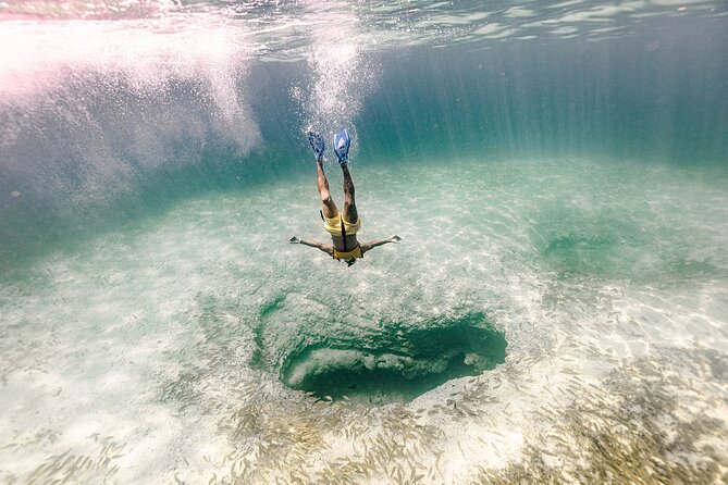 With Turtles, Shipwreck, Cenote, and Reef and Transport Included - Reef Stop: Warm, Shallow Water Where You Can Focus on Fish and Coral