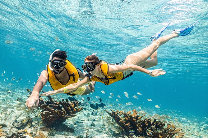 With Turtles, Shipwreck, Cenote, and Reef and Transport Included - Cenote Stop: Why This Adds More Than Another Photo Spot