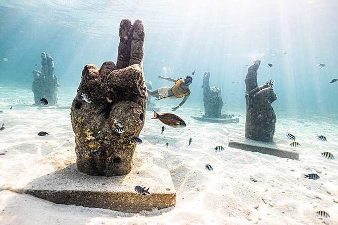 With Turtles, Shipwreck, Cenote, and Reef and Transport Included - Photo and Video Add-On: Cool Footage, Extra Cost