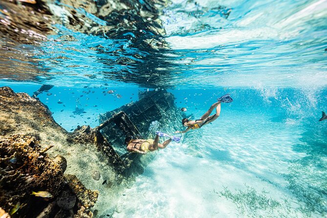 With Turtles, Shipwreck, Cenote, and Reef and Transport Included - Price, Dock Fees, and the Real Value Check