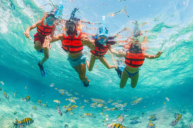 Xcaret Park Day Trip, transportation and Cultural Night Show - Lunch, Drinks, and the Photo Pricing Reality Check