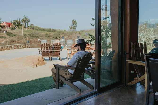 Xecue Wine Tasting in the Guadalupe Valley - Key highlights you should care about