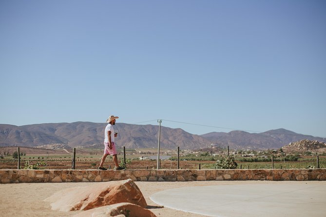 Xecue Wine Tasting in the Guadalupe Valley - Your flight: 3 reds, rosé, and white, all from the estate