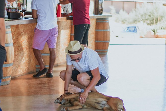 Xecue Wine Tasting in the Guadalupe Valley - Views, ambiance, and small moments that make it feel real