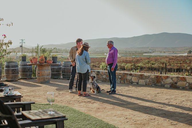 Xecue Wine Tasting in the Guadalupe Valley - Service and pacing: what to expect, and what to watch for