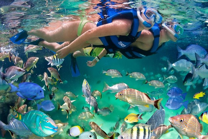 Xel ha All Inclusive - Xel-Ha All Inclusive: What You Really Get in Cancun