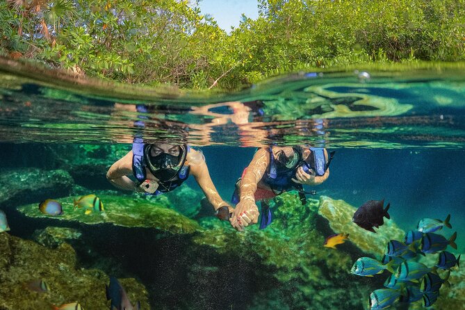 Xel-Ha Park Admission Tickets - Where the day starts: arrival, wristband, and getting oriented