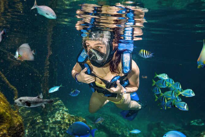 Xel-Ha Tickets with Transportation included - Aquatic Fun: Floating Mangroves, Snorkeling Gear, and Cliff Jumps