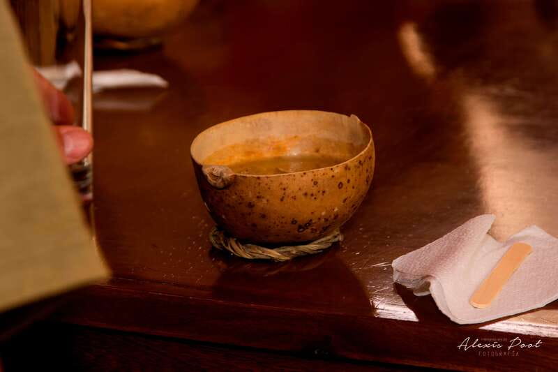 Xkopek, Mayan Bees Tour and Honey Tasting in Valladolid - Who should book this Mayan Bees Tour in Valladolid