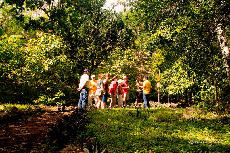 Xkopek, Mayan Bees Tour and Honey Tasting in Valladolid - FAQ