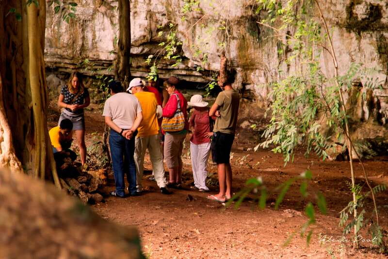 Xkopek, Mayan Bees Tour and Honey Tasting in Valladolid - Stairs, stony paths, and what to wear so you enjoy it