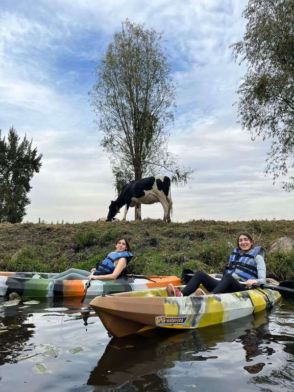 Xochimilco: amanecer en kayak Ciudad de México - Ajolotario and the axolotl: myth, science, and regenerative power
