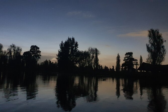 Xochimilco Barco Fiesta Tentacion 18+ with Open Bar and Tacos - Xochimilco, but make it 18+ party mode