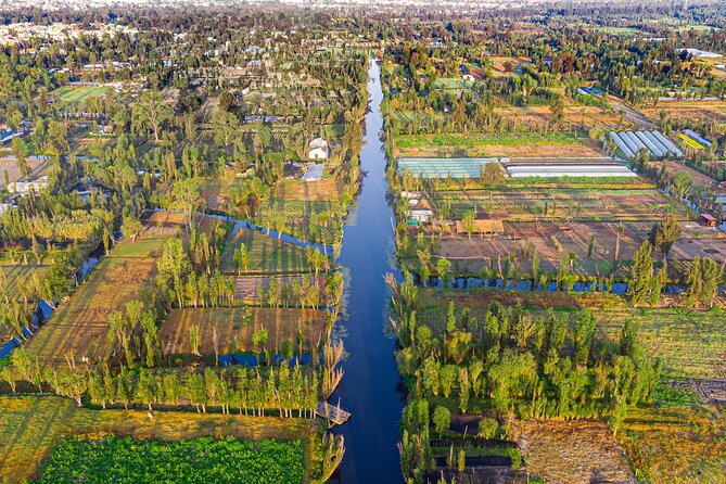 Xochimilco, Coyoacan and Frida Kahlo Museum Tour - UNAM’s Olympic Stadium and mural campus stop
