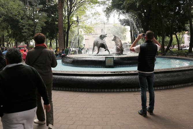 Xochimilco, Coyoacan and Frida Kahlo with Optional Lunch - UNAM Ciudad Universitaria Murals: Diego Rivera and Juan O’Gorman in 30 Minutes