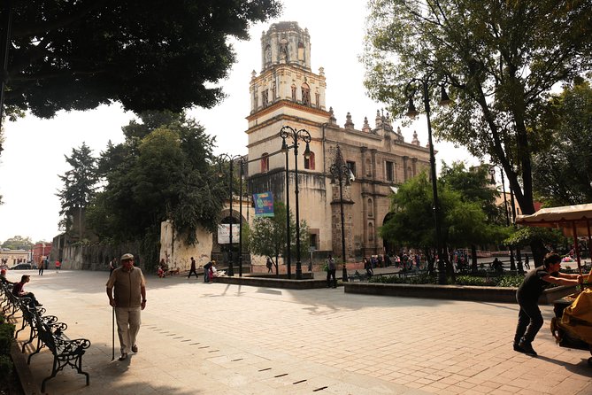 Xochimilco, Coyoacan and Frida Kahlo with Optional Lunch - What Makes This Tour Worth Your Time