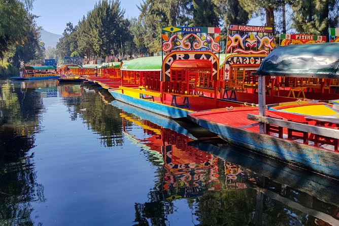 Xochimilco, Coyoacan, Aztec Stadium & UNAM - A stacked day in Mexico City, built for variety