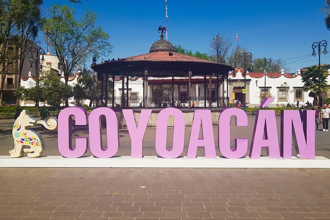 Xochimilco, Coyoacan, Aztec Stadium & UNAM - Guides and drivers: why the small details matter